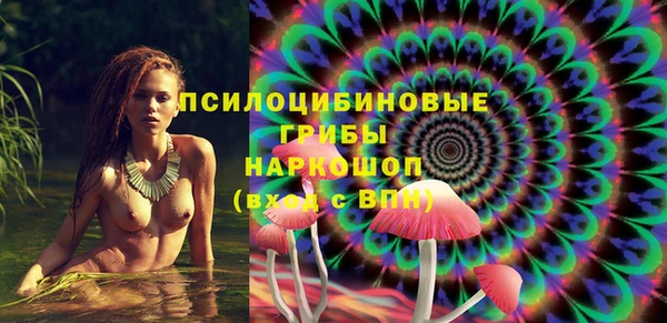 спиды Абаза