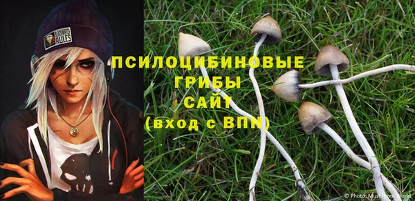 ешки Алексин